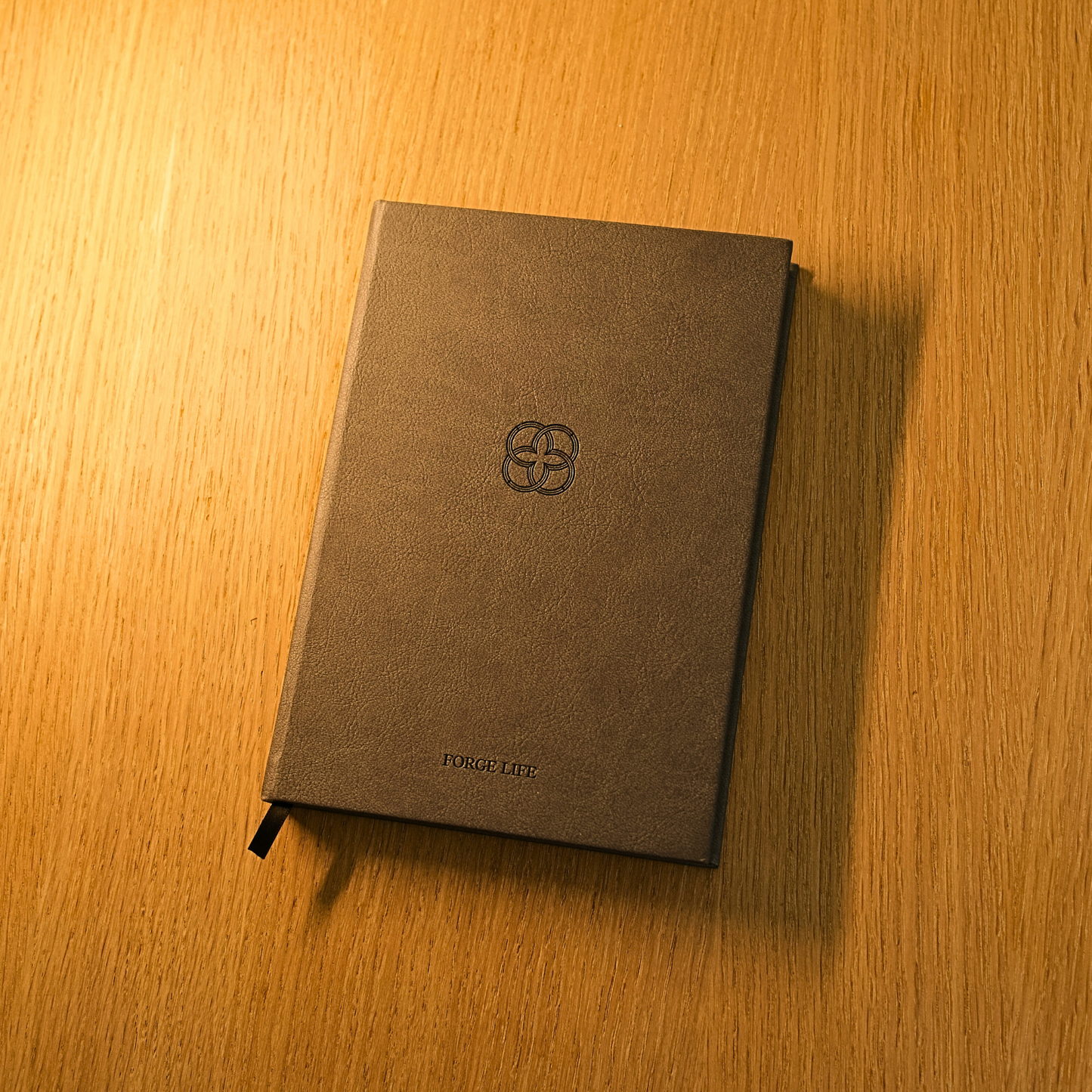 ForgeLife Journal